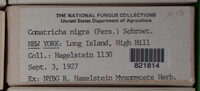 Image Associated With the Occurence